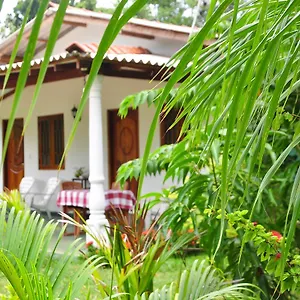 sigiriya-amenity-home-stay.kandyhotelsnow.com/